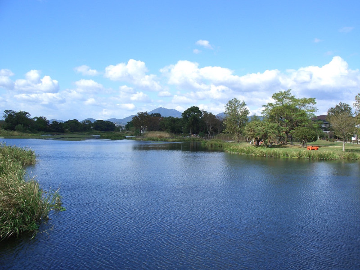 上江津湖の湖面と水辺の風景