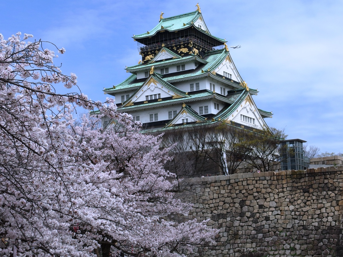 桜と大阪城天守閣