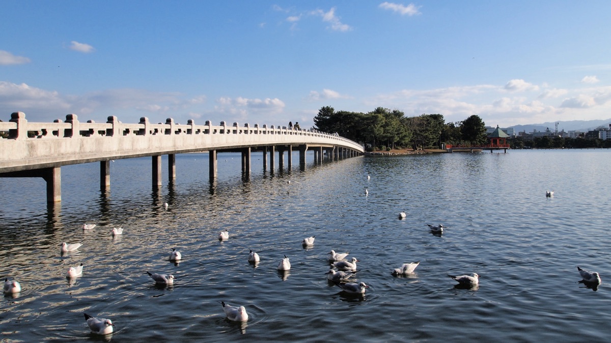 大濠公園の観月橋と浮島