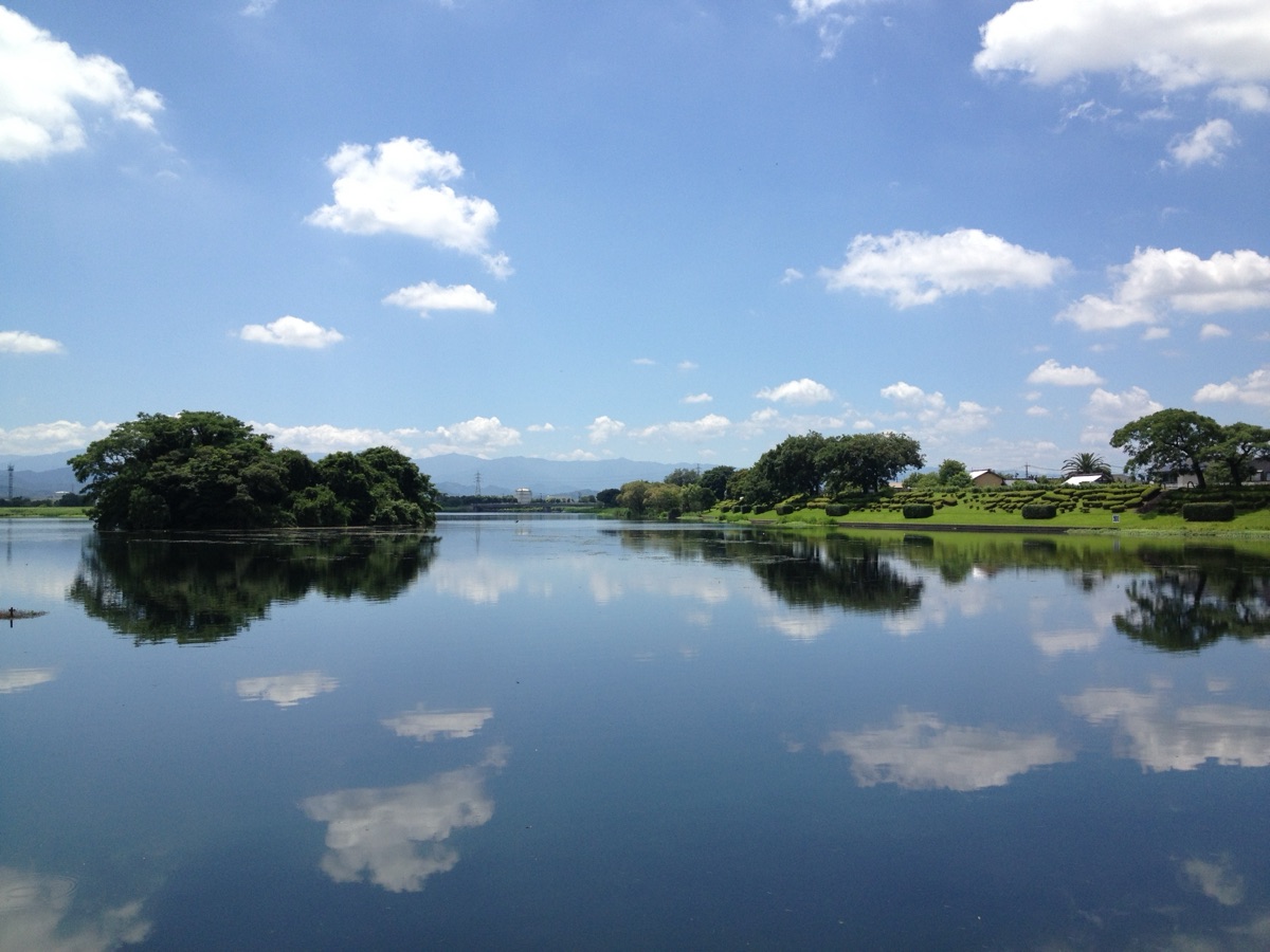 夏の下江津湖
