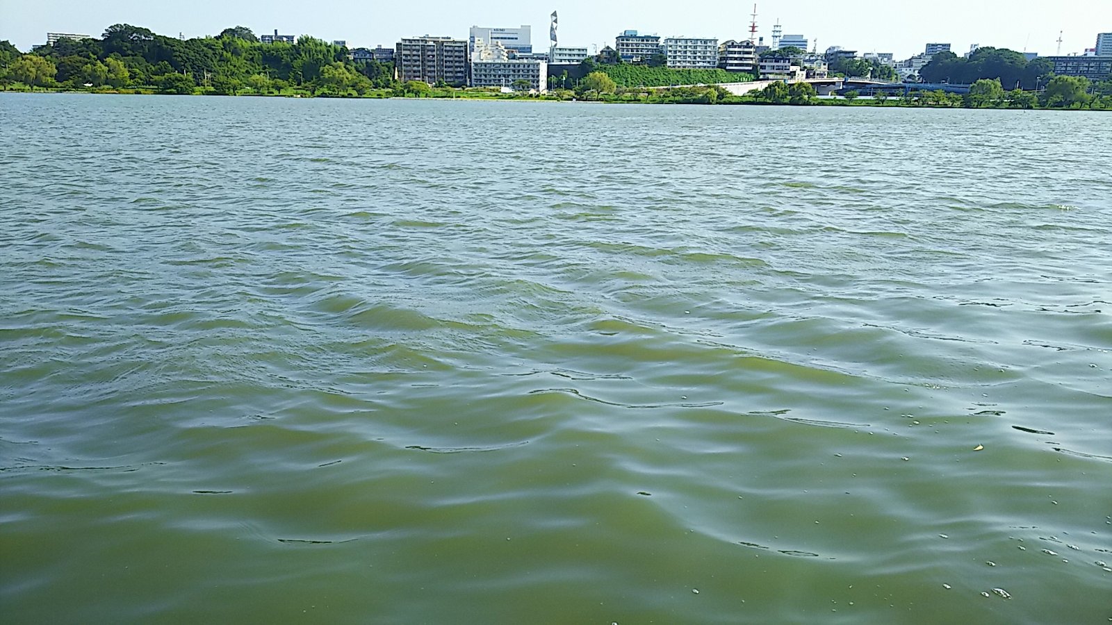 千波湖