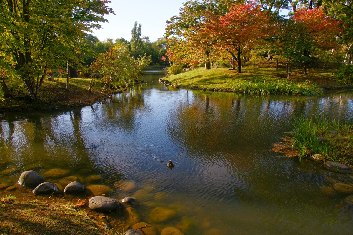 中島公園の秋の朝・紅葉と菖蒲池
