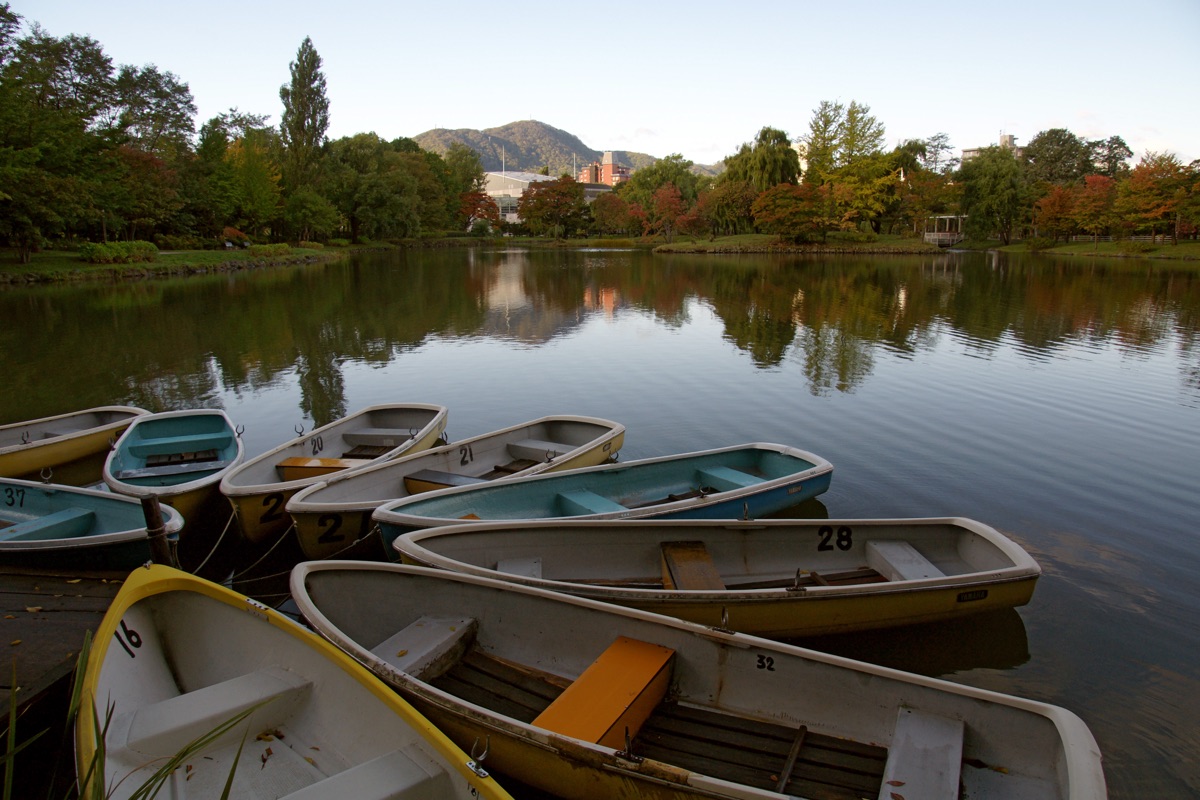 中島公園の遊歩道と紅葉風景