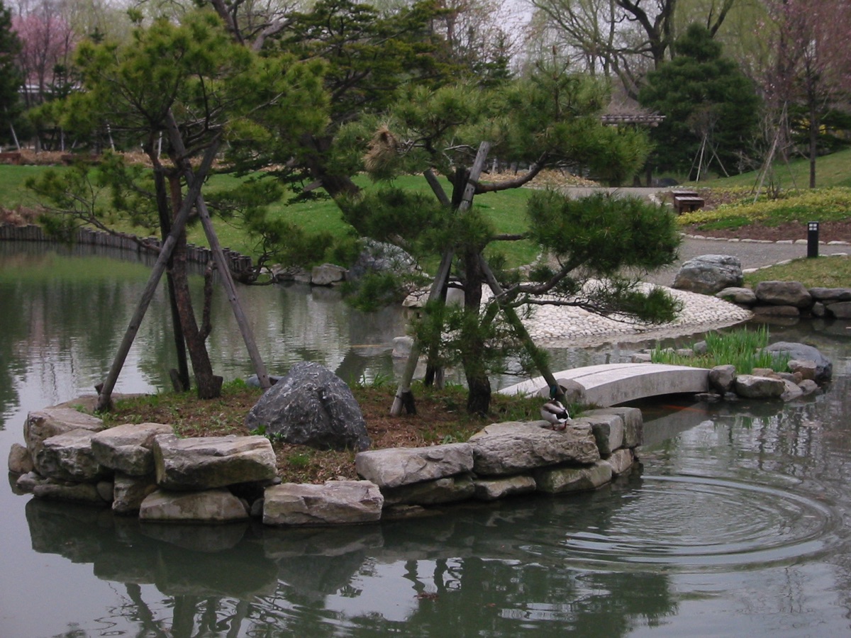 中島公園の日本庭園と菖蒲池の景観