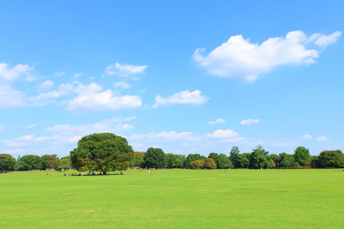 国営昭和記念公園（東京都立川市）の風景