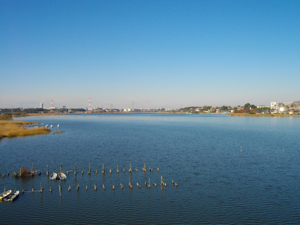 千葉県の手賀沼の湖畔風景